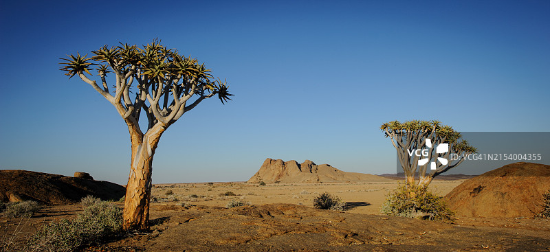 晴空映衬下的沙漠美景图片素材