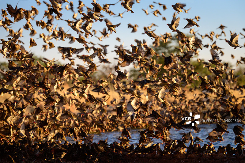 湿地风光图片素材