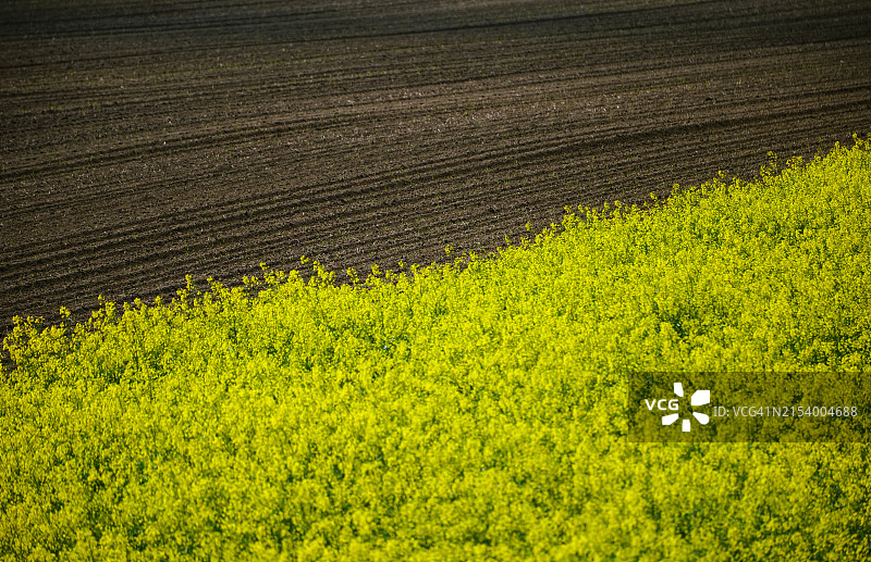 田野风光图片素材