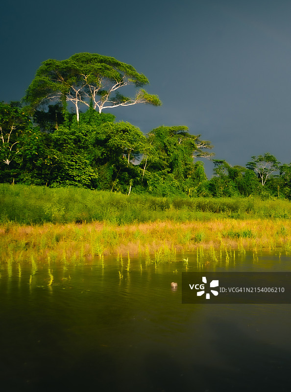 湖边的树木与天空图片素材