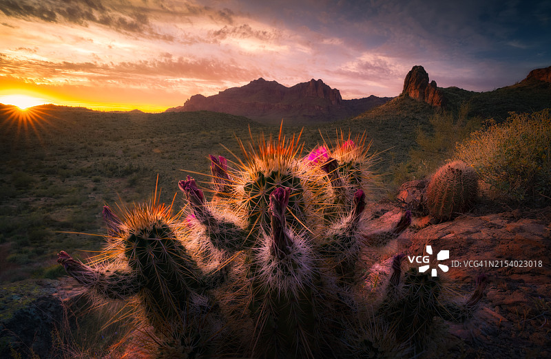 美国亚利桑那州阿帕奇章克申日落山景图片素材