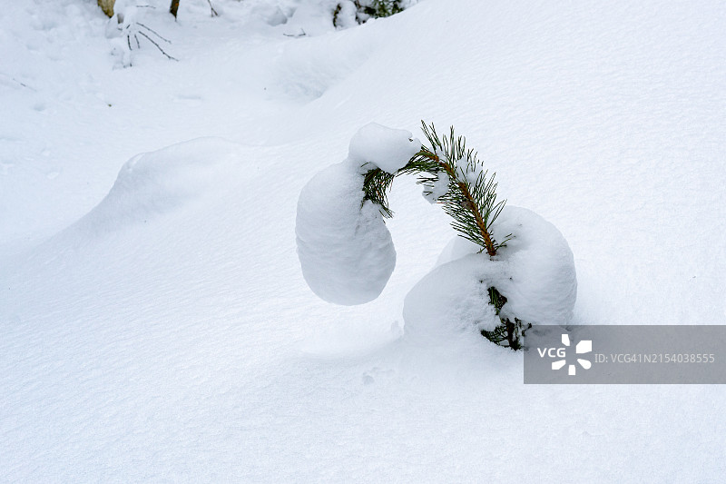 俄罗斯白雪覆盖的陆地高角度视图图片素材