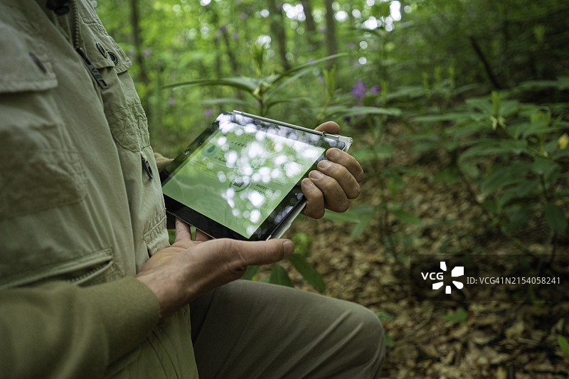 在森林生态田野调查中使用移动应用程序，科学中的人工智能图片素材
