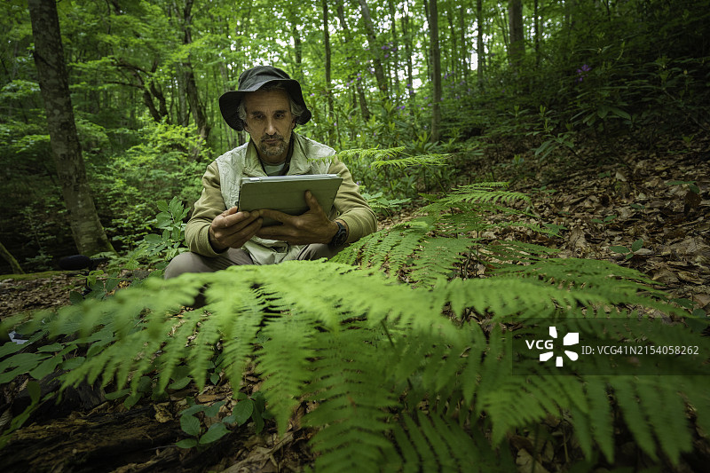 在森林生态田野调查中使用移动应用程序，科学中的人工智能图片素材