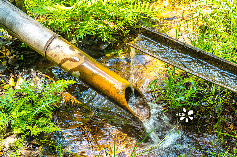 花园里的添水乌图片素材