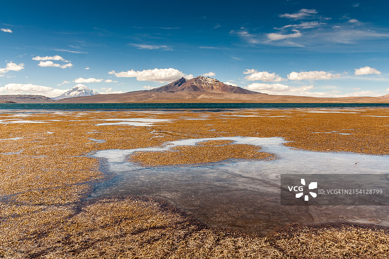 劳卡国家公园的Chungara湖图片素材