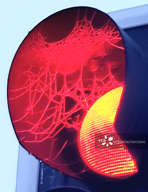 交通信号灯红光照亮的蜘蛛网图片素材