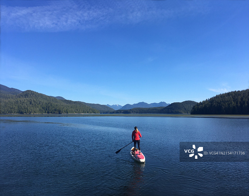 温哥华岛托菲诺附近格莱斯湾的立式单桨冲浪板探险图片素材