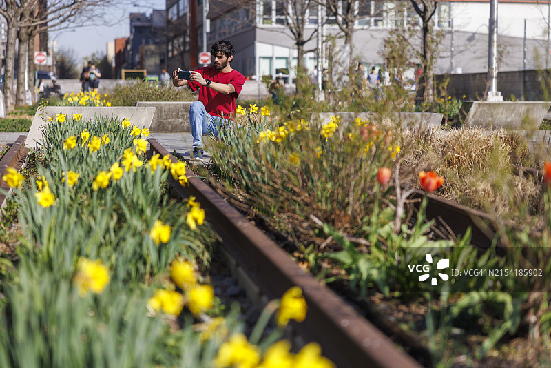 公园里的水仙花摄影：巴基斯坦男人在长岛市皇后区公园拍摄郁金香花坛图片素材