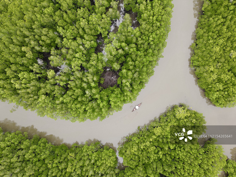 象岛美丽的红树林图片素材