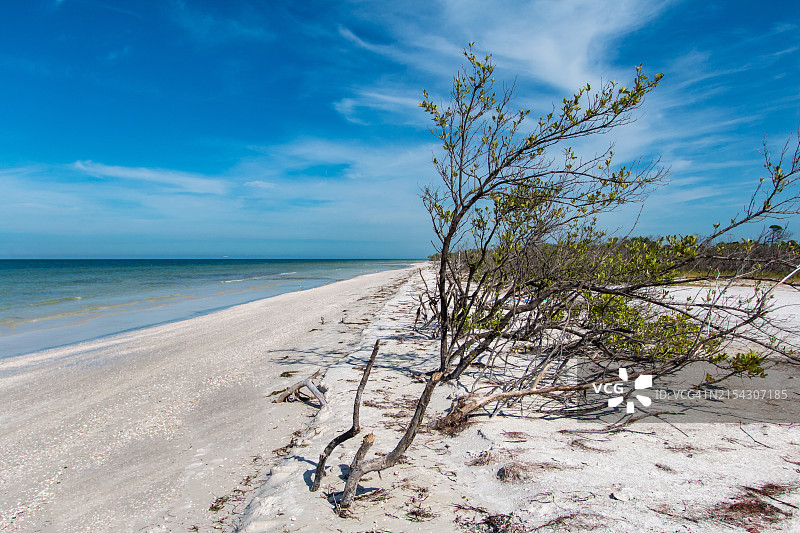 佛罗里达州棕榈港海景图片素材