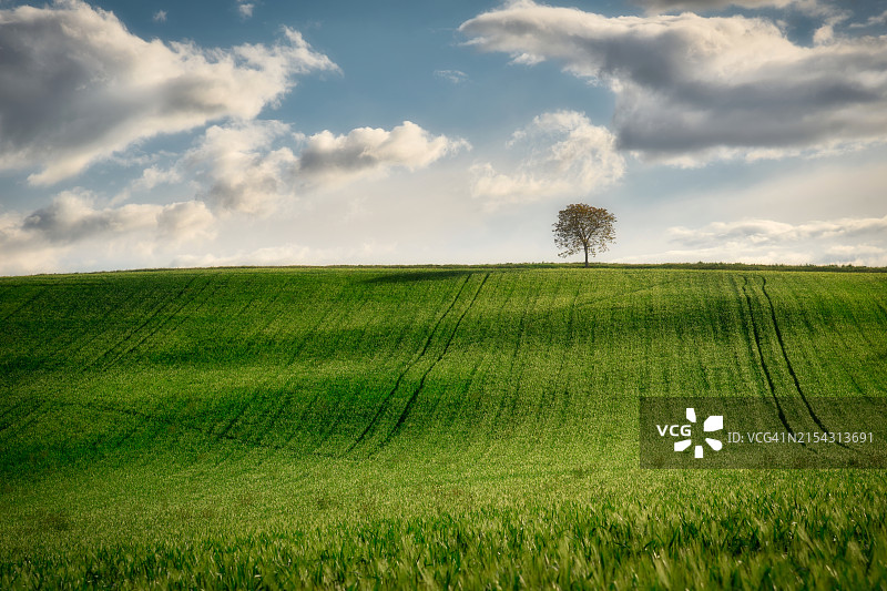 天空衬托下的田野风景图片素材