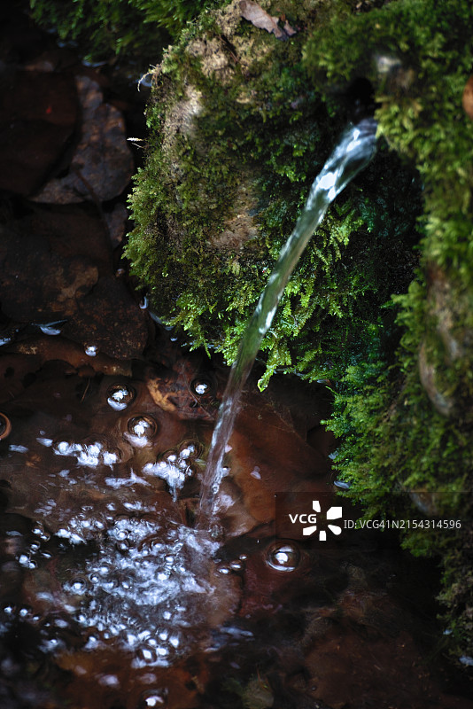 森林中流水的特写图片素材