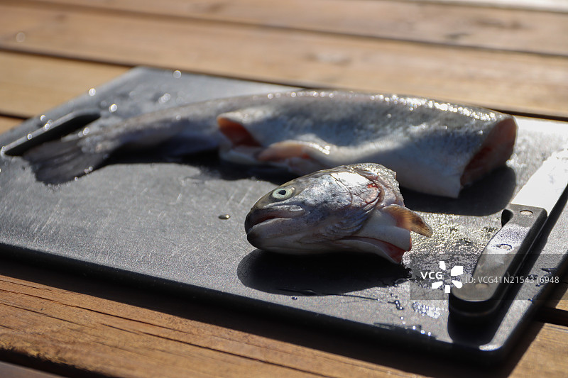 桌上的鳟鱼特写，波兰波莫瑞图片素材