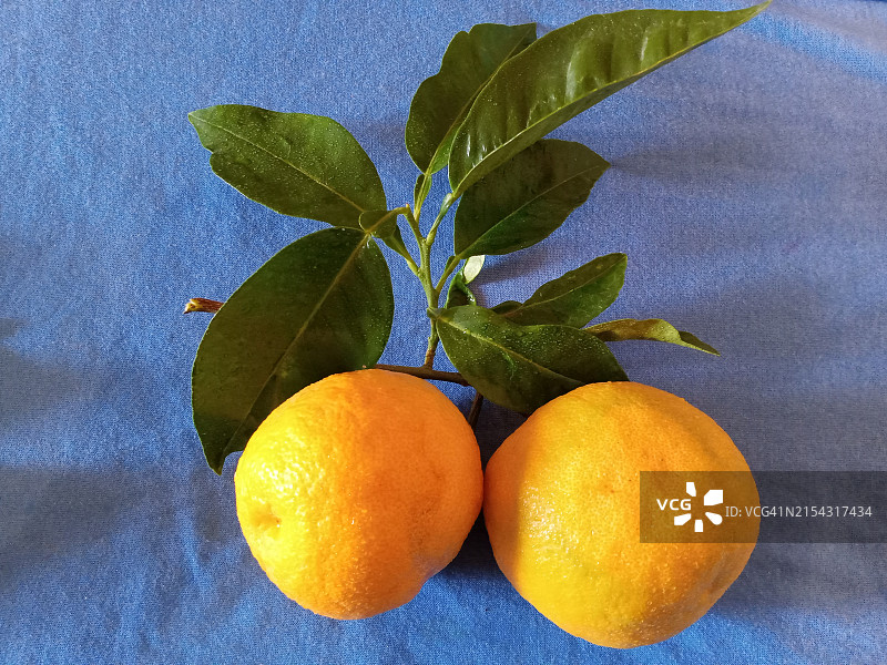 桌子上的橙子特写图片素材