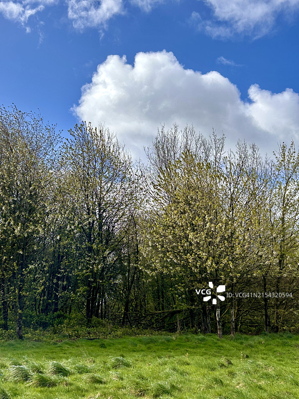 英国威根田野上的树木，天空背景图片素材