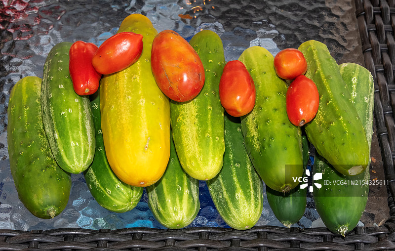 美国伊利诺伊州芝加哥蔬菜高角度视图图片素材