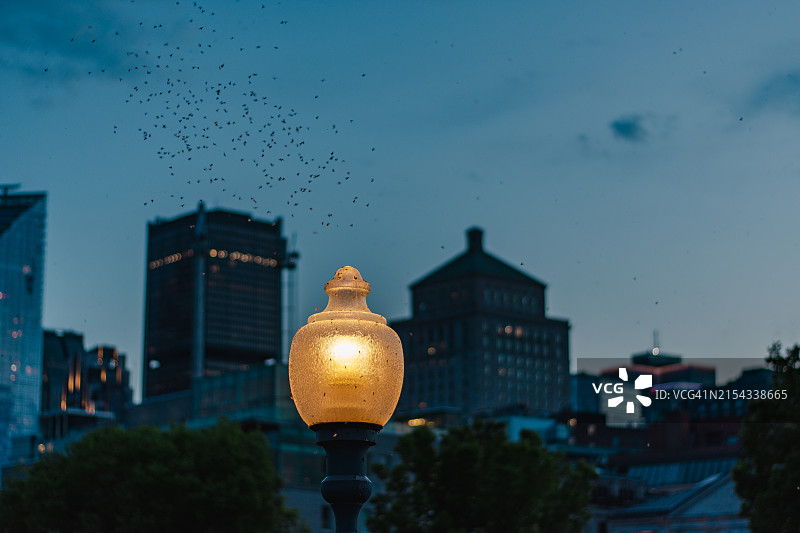 蒙特利尔老城区风光图片素材