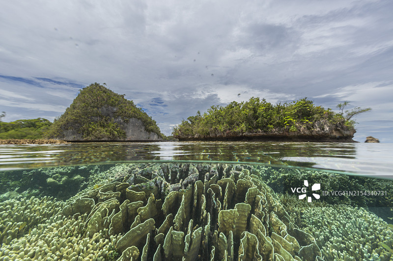 印度尼西亚拉贾安帕特群岛的清澈海水和浅礁图片素材