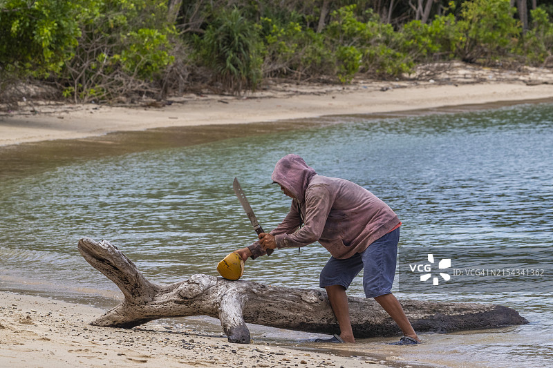 在印度尼西亚拉贾安帕群岛瓦亚格湾自然保护港的小岛上，当地男子正在砍椰子图片素材