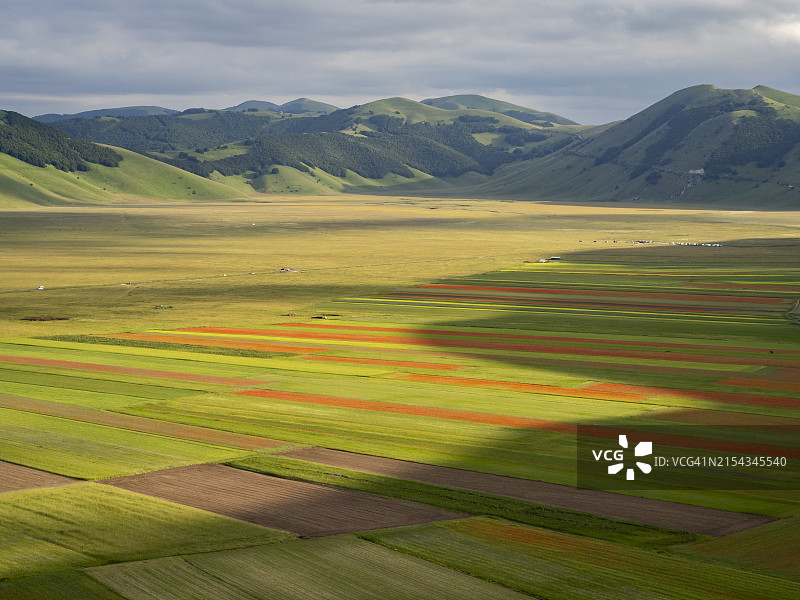 意大利佩 市 Sibillini 公园的 盛开花朵图片素材