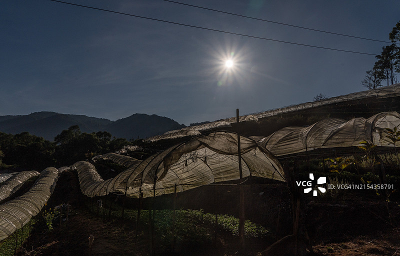 泰国夜丰颂府克伦族农民在果蔬温室中劳作图片素材