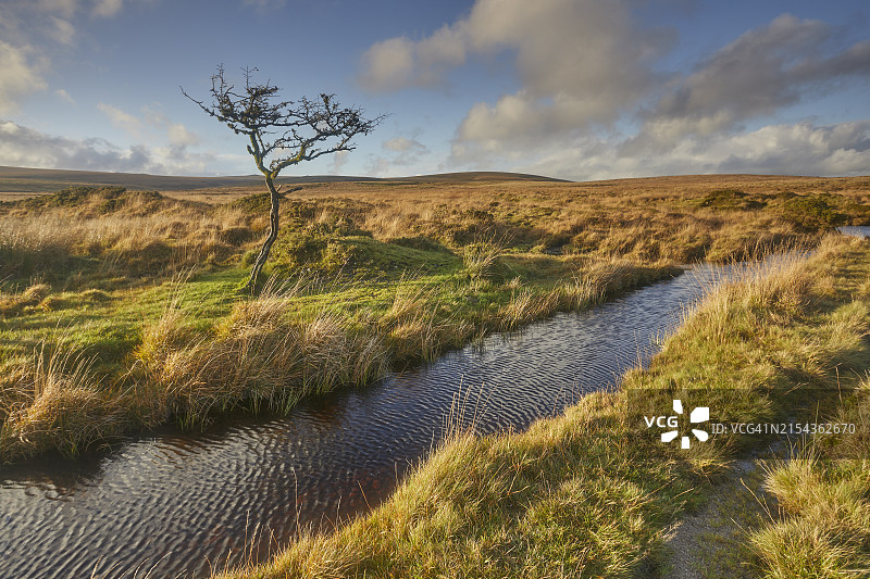 达特穆尔沼泽地的秋色图片素材