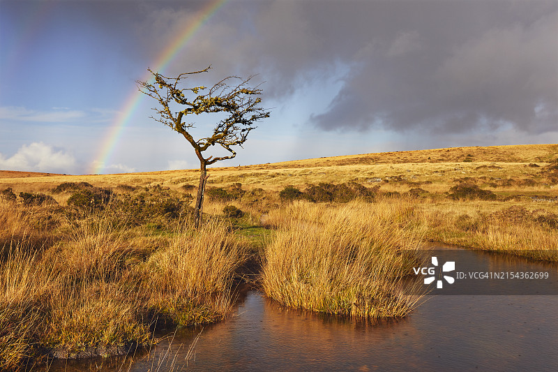 达特穆尔秋季沼泽地上空的彩虹图片素材