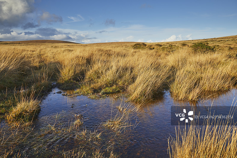 达特穆尔沼泽地的秋色图片素材