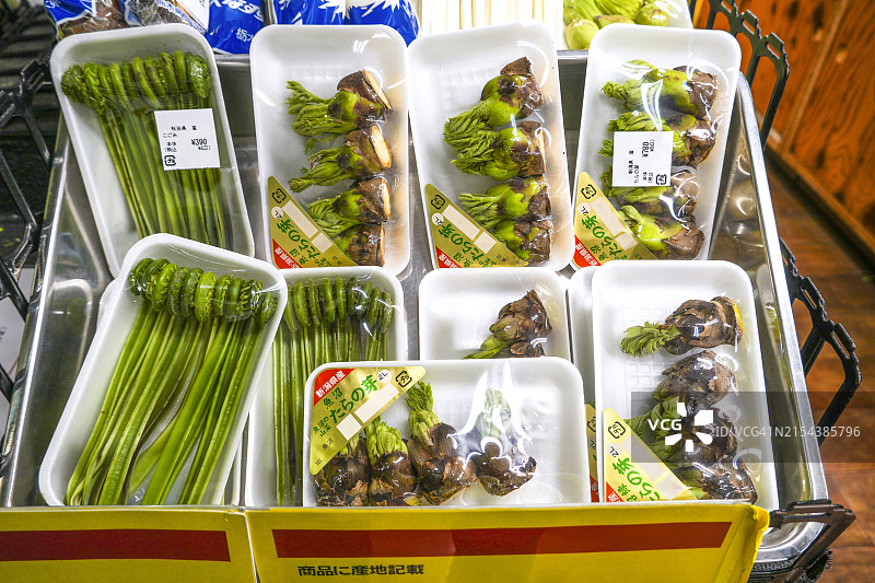 秋田县和新泻县的山野菜图片素材