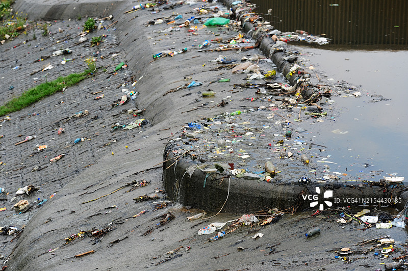 约翰内斯堡被污染湖面上的鸟儿图片素材