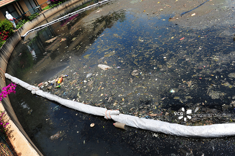 约翰内斯堡被污染湖面上的鸟儿图片素材