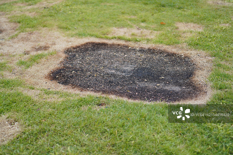 绿色草坪公园背景图片素材