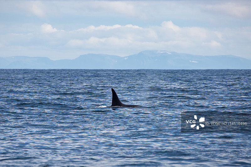 大海对着天空的美景图片素材