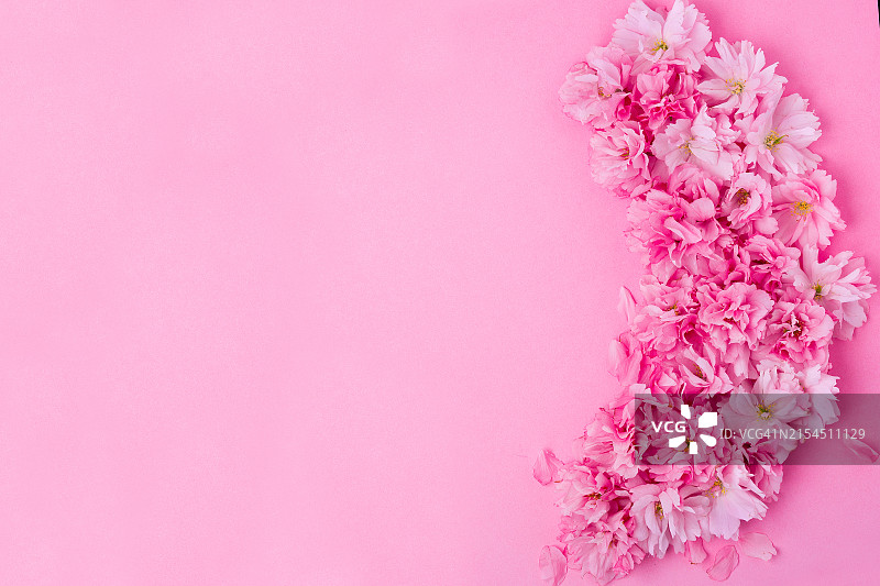 粉色背景下的粉色花朵特写图片素材