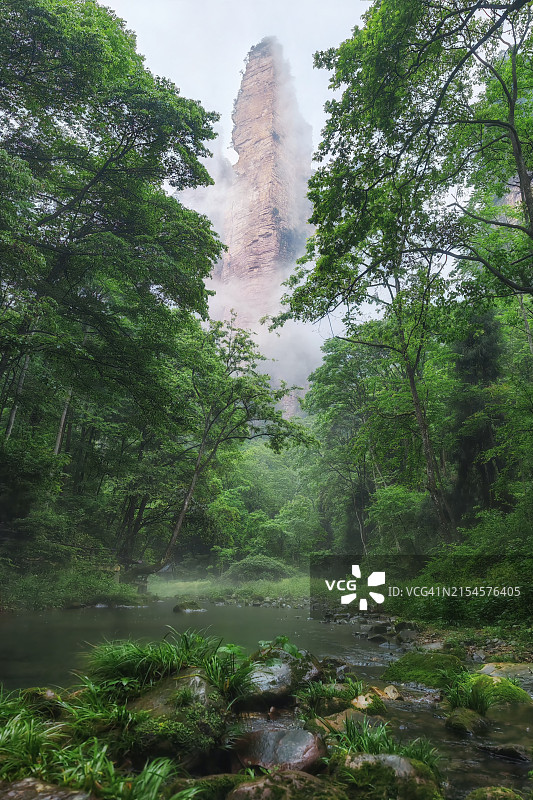 张家界金鞭溪图片素材