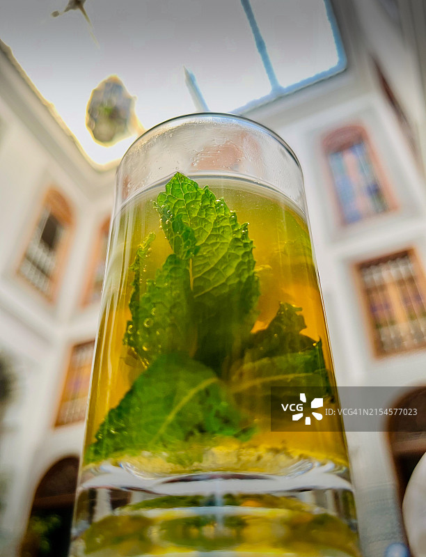 庭院内薄荷阿拉伯茶杯仰视图片素材
