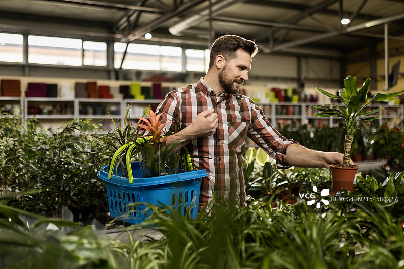 植物选购图片素材