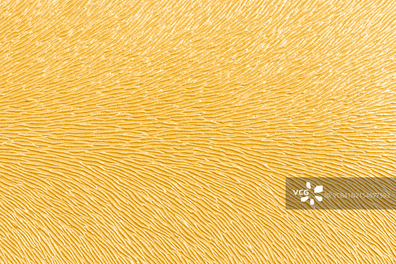 带纹理的金色皮革材料：材质有光泽，颜色鲜艳图片素材