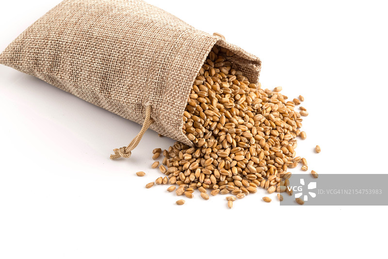 白色背景上麻袋中的完整生小麦颗粒背景图片素材