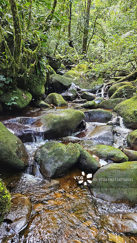 马来西亚沙捞越巴里奥，普隆陶国家公园原始的鲁托河风光图片素材