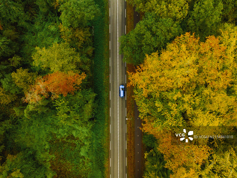 秋日森林彩色树叶俯瞰图片素材