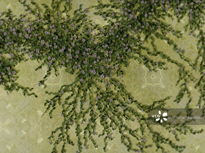 从电脑电路板上生长的植物，数字生成图像图片素材