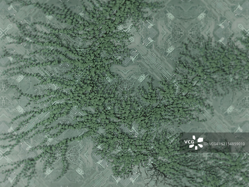 从电脑电路板上生长的植物，数字生成图像图片素材