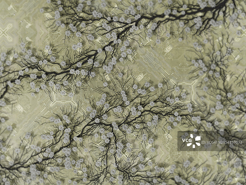 从电脑电路板上生长的植物，数字生成图像图片素材