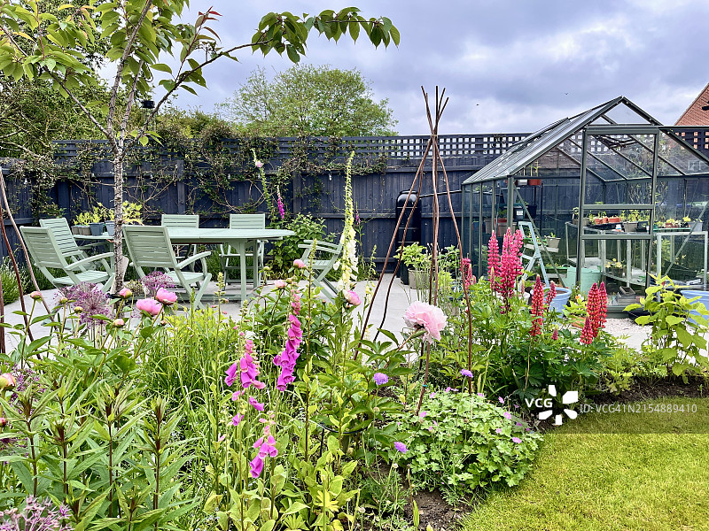 早春时节的家庭花园图片素材