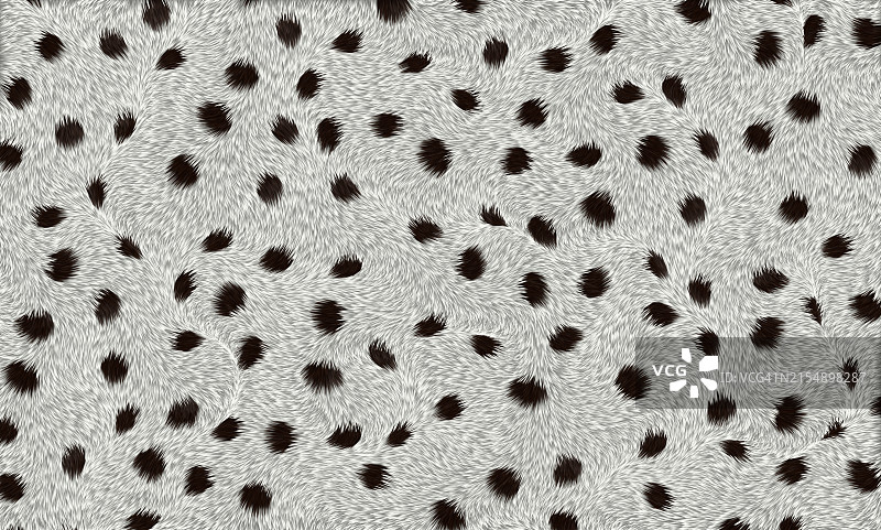 抽象背景，柔软蓬松的短毛面料，呈达尔马提亚犬皮毛状图片素材