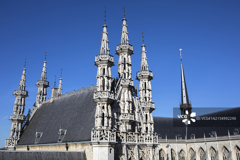 欧洲比利时弗拉芒 Leuven 的圣彼得学院教堂图片素材