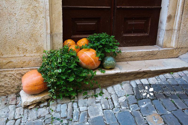 装饰南瓜，莫托文，克罗地亚，欧洲图片素材