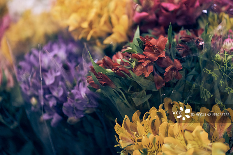 市场上售卖的六出花图片素材